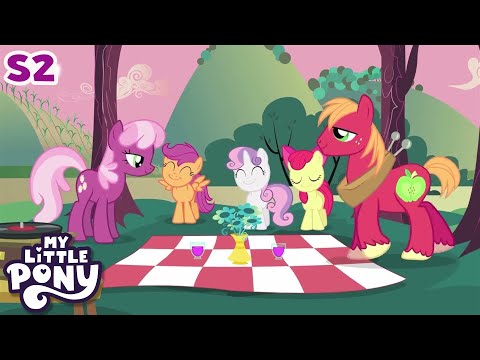 Hearts and Hooves Day | DOUBLE EPISODE | My Little Pony: Friendship Is Magic | CARTOON