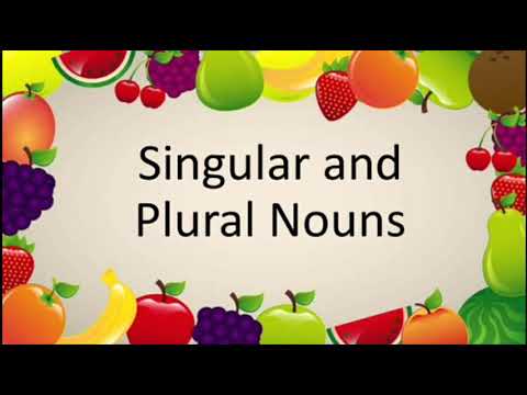 Ch-4|Singular and Plural Naming Words|Explanation