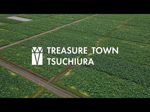 【TREASURE TOWN TSUCHIURA】土浦市プロモーション動画【土浦のれんこん編】