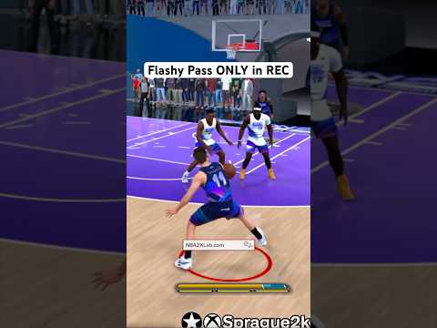 NBA 2K25 Flashy Pass ONLY in the REC #nba2k25 #2k25