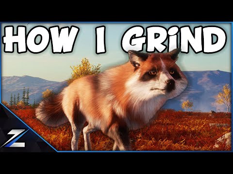 How I Grind for My GO Fox - Herd Management, Rotation and Thoughts