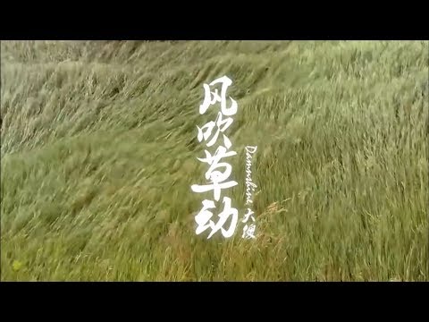 [SUP] C-BLOCK：大傻DamnShine - 風吹草動 MV