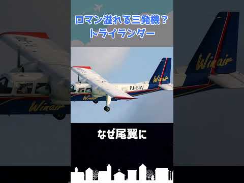 小さなロマンあふれる３発機「トライランダー」 #shorts