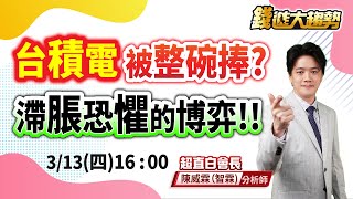 20250313【台積電被整碗捧？滯脹恐懼的博弈！】| 錢進大趨勢 | 陳智霖分析師(超直白會長) #CPI #Intel