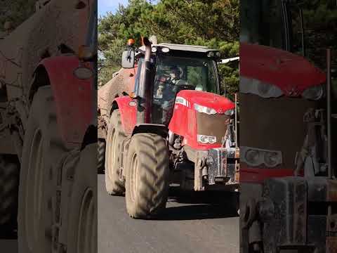 Think, eat and dream about slurry? 💩