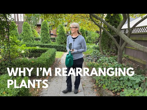 Why I'm Rearranging Plants Now (And Why You Should Too)