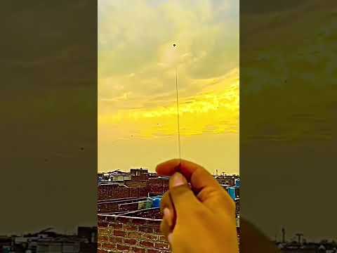 Kite Lover #shorts #trending #viral