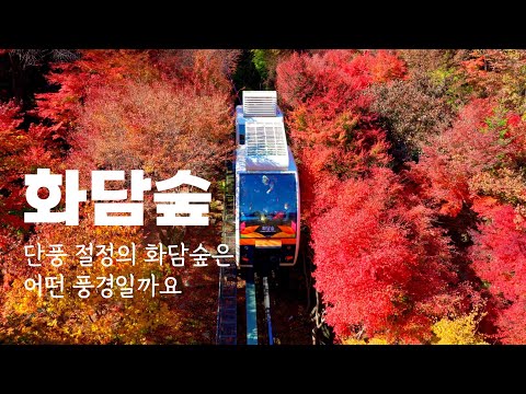 Korea's beautiful autumn scenery