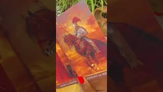 You Gotta Push Through This ~ Daily Guidance #message #tarot #dailyguidance