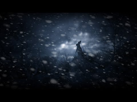 Snow Storm Sounds for Sleeping - Dimmed Screen | Blizzard Sounds - Fall Asleep Fast - Deep Sleep