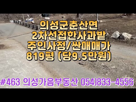 #463 의성가음부동산 반값급매!! 2차선도로접 수확많은 사과밭 819평 합7800만 (당9.5만) 전기수도가능 건축가능 계획관리지역 마을근처 하천옆 #의성땅#의성과수원#주말농장