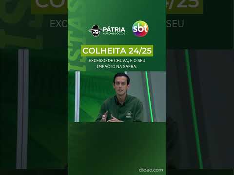 Colheita da safra de soja 24/25 - Excesso de Chuva