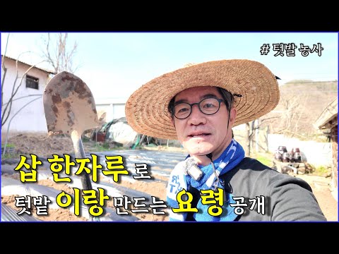 삽 한자루로 이랑과 비닐 씌우는 요령, 텃밭농사, farming, gardening, rustic