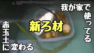 赤玉土に変わるめだか飼育が楽になる新たなろ材を探す【メダカ】