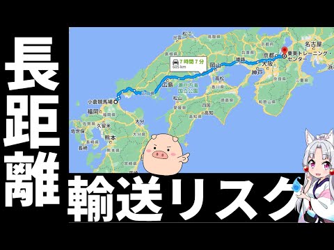 小倉競馬場と中京競馬場の上級者向けコース解説