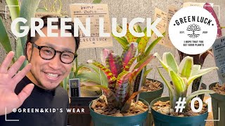 【GREEN LUCK】ビギナーからマニアまで満足できる観葉植物専門店《グリーンラック》兵庫県宝塚市