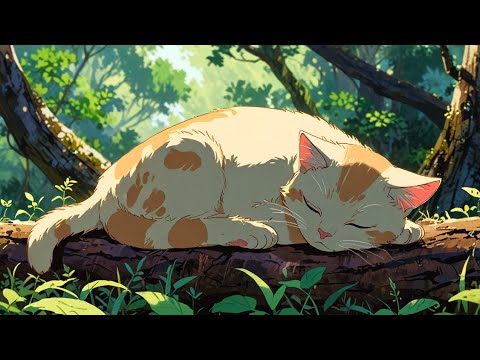 Start Your Day with Lofi Beats #lofi #chill