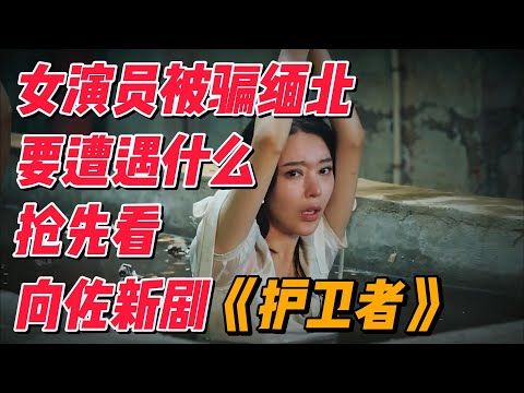 女演员被带到缅北紧跟时事，《护卫者3》抢先看，向佐化身硬汉 #影视解说 #电影解说