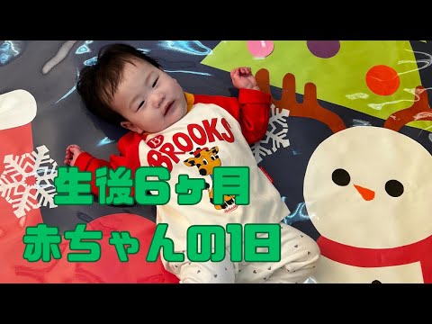 【生後6ヶ月】赤ちゃんの1日