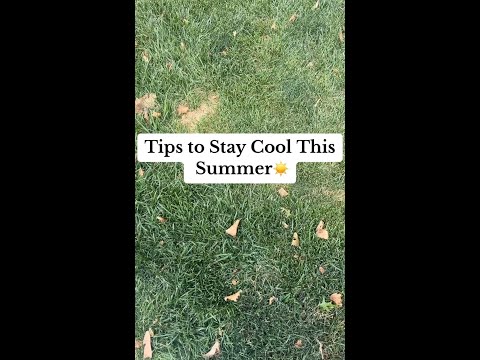 Tips to Stay Cool This Summer