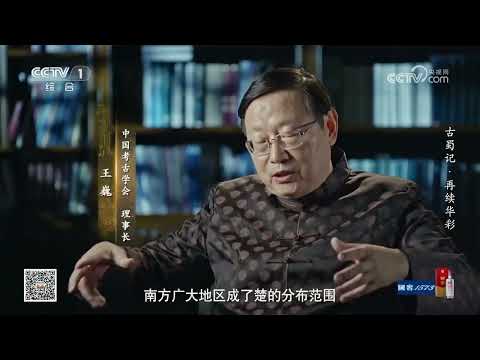 一个小腰坑发现惊人文物 它能否破解古蜀文明的历史谜团？《寻古中国》【CCTV纪录】