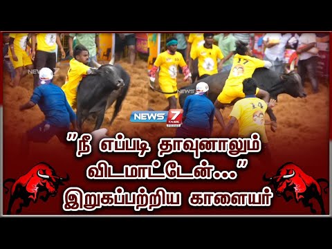 ”நீ எப்படி தாவுனாலும் விடமாட்டேன்...”இறுகப்பற்றிய காளையர்... Palamedu Jellikattu 2025