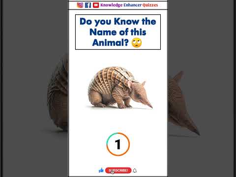 Do you know the name of this Animal? #brainteaser #braintest #intelligencetest #iqtest #iq #shorts