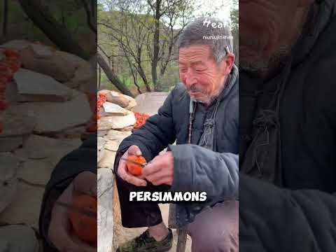 Village Methods for Drying Persimmons