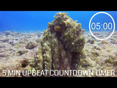 5 Minute Countdown With Upbeat Music - ⏲ Octopus 🐙- 5 minute pack up timer, uplifting music