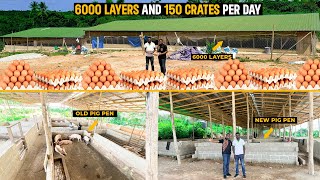 Farm Tour | Inside a 10,000 capacity Poultry Farm(Layers and Broilers) and a 500 capacity Pig Farm