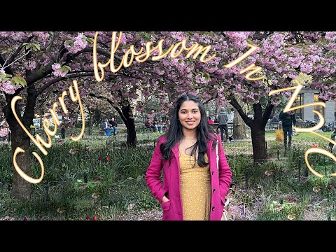 VLOG: WEEKEND IN MY LIFE | CHERRY BLOSSOMS IN NEW YORK | NEW APARTMENT FURNITURE SET UP