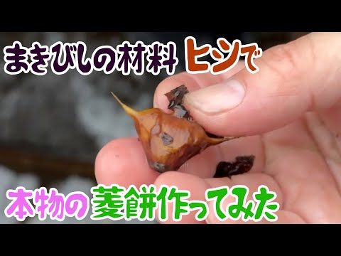 まきびしの材料ヒシで、本物の菱餅作ってみた