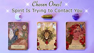 SPIRIT Is Trying to CONTACT YOU! 🔮🪬 CHOSEN ONES Listen! 🦉🔮 Timeless Pick a Card Reading