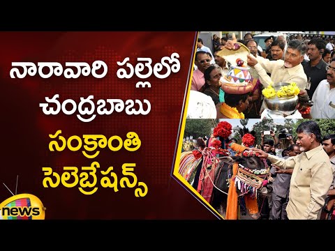 CM Chandrababu Naidu Family Sankranti Celebrations At Naravaripalli | TDP | AP News | Mango News