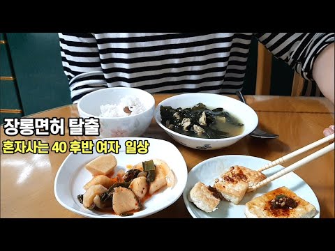 1인가구 40대 여자 일상 브이로그 vlog 장롱면허 탈출