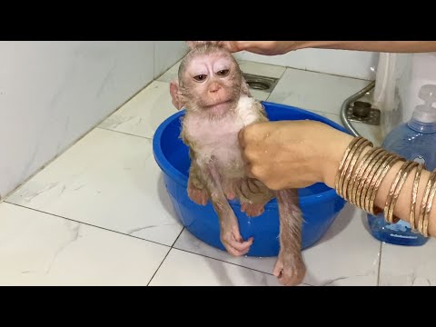 Adorable baby boy take a bath look is very cute