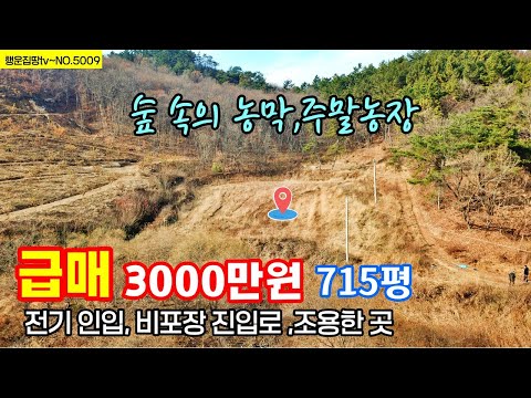 (급매  3000만원) 산아래 숲 속 조용한 주말농장 농막으로 좋은 나만의 놀이터  작은 연못 충남 부여부동산 토지매매매  행운집 행운땅 부동산TV~전원주택 농가주택 싼땅 매매