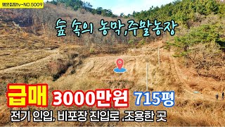 (급매  3000만원) 산아래 숲 속 조용한 주말농장 농막으로 좋은 나만의 놀이터  작은 연못 충남 부여부동산 토지매매매  행운집 행운땅 부동산TV~전원주택 농가주택 싼땅 매매