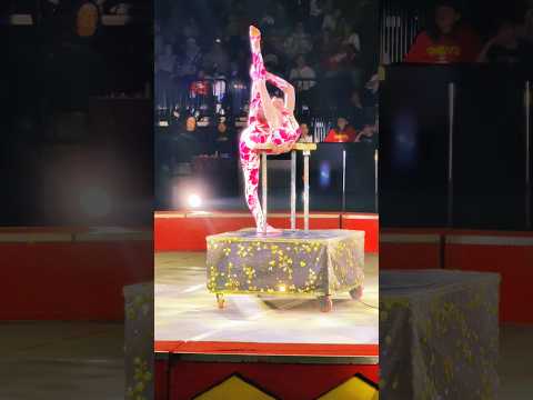 Fabianna 🌟 Eighth-Generation Circus Star Shows Incredible Flexibility!