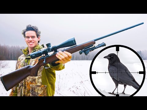 Small Game Hunting with 17HMR! (Scope Cam)