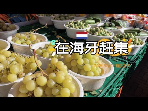 随手拍45-在荷兰最大的露天市集赶大集 | 海牙市集 De Haagse Markt 荷兰旅游 | 胖仔的荷兰日记 Pangzai's diary 20240102