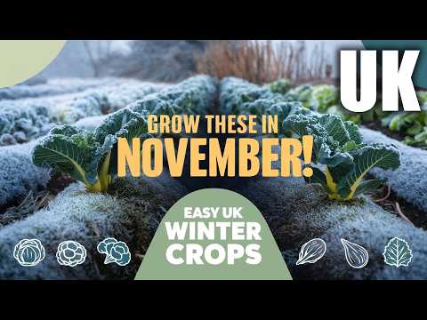 Grow Your Favorite Plants in November UK!