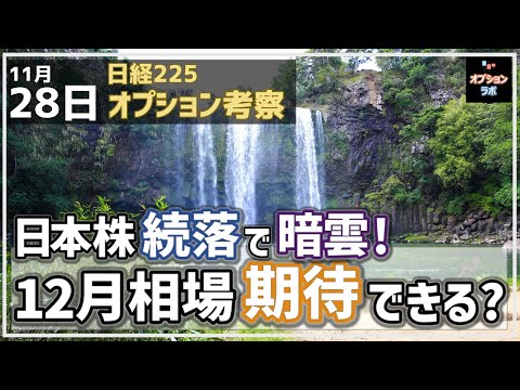 【日経225オプション考察】11/28 日本株 続落で急落懸念！ 12月相場に上昇期待はできるのか!?