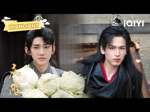 HIGHLIGHT：女妖师山茶失踪😖祁晓轩和虎子擅闯焚妖塔❗ | 虎鹤妖师录 Tiger and Crane | 蒋龙 张凌赫 | ✦ 爱奇艺东方奇幻 ✦