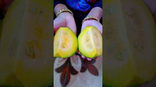 Pumpkin New Recipe 😋😋 #shorts #youtubeshorts #viralrecipe #trending #trendingrecipes