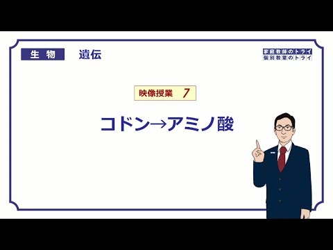 【高校生物】　遺伝7　コドン→アミノ酸（２２分）