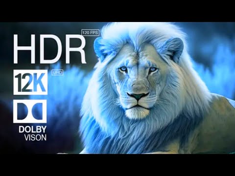 Mind-Blowing 12K HDR 120FPS Dolby Vision Demo