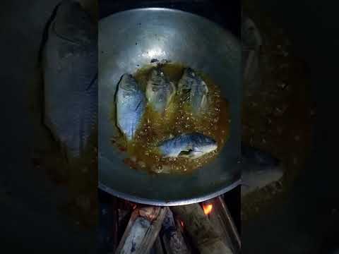 Tilapia Frying ASMR🐟🇵🇭 #tilapia #asmrcooking #fryingfish #frying #asmr