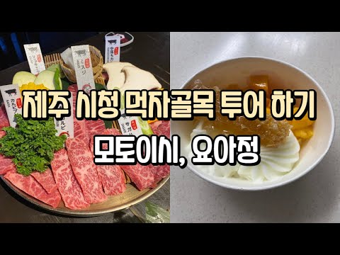 제주도 핫플 제주시청 먹자골목 투어ㅣ모토이시 ㅣ요아정 방문 후기