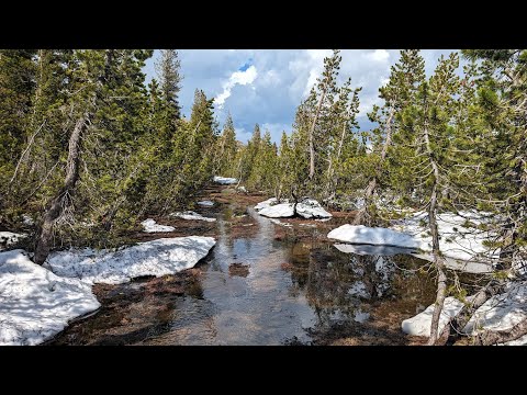 Pacific Crest Trail Thru Hike Episode 29 - 1000